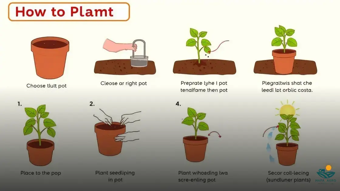 Como identificar e tratar pragas na aceroleira em vaso