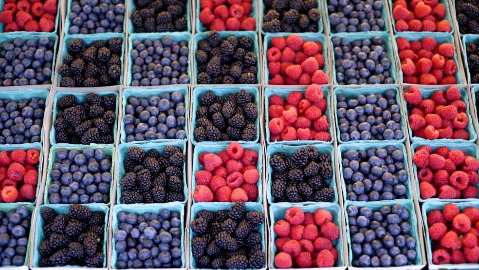 Guia Completo: Como Escolher o Vaso Ideal para Frutas Vermelhas; Os Segredos do Solo Perfeito para Mirtilos e Morangos; Calendário de Colheita: Quando Plantar e Colher suas Berries; Poda Estratégica: Maximizando a Produção de Framboesas e Amoras; Mitos e Verdades sobre o Cultivo de Frutas Vermelhas em Climas Quentes