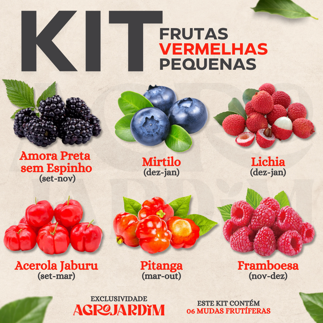 como cultivar frutas vermelhas