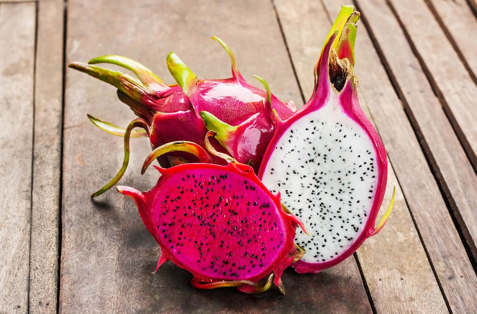 5 dicas para escolher o local ideal para plantar pitaya