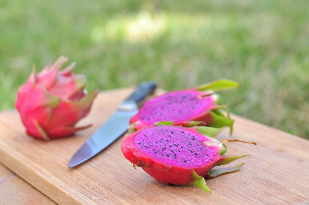 Como fazer a poda correta na pitaya para aumentar a produção