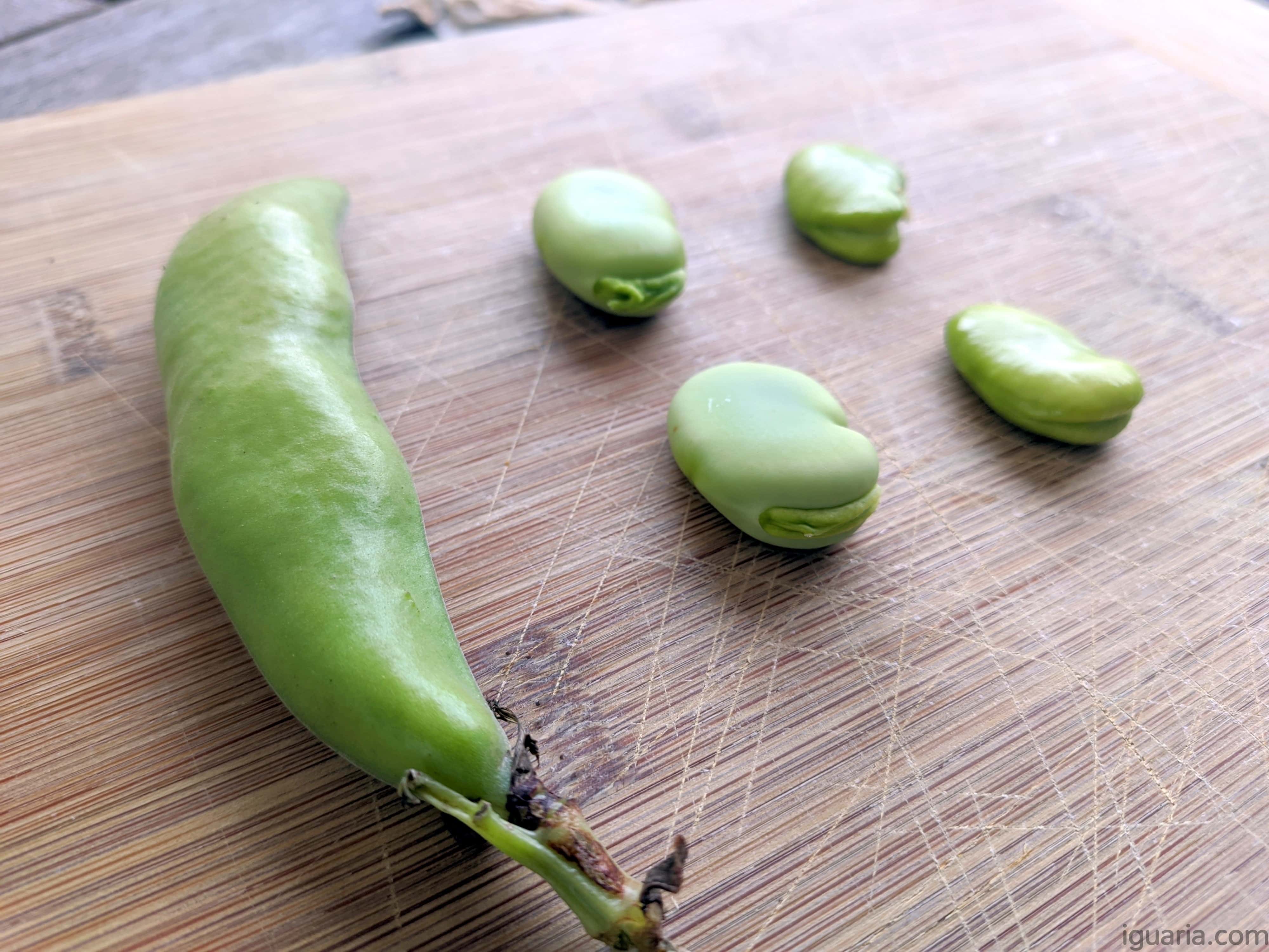 como descascar fava fácil