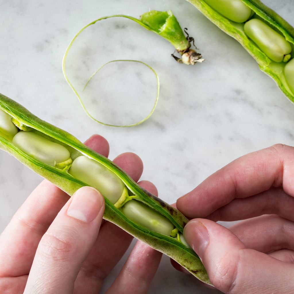 Favas Congeladas: A Solução Rápida para Suas Receitas
