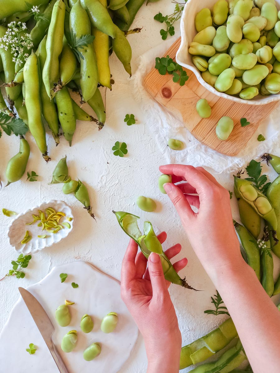 Como Aproveitar Favas Secas na Cozinha