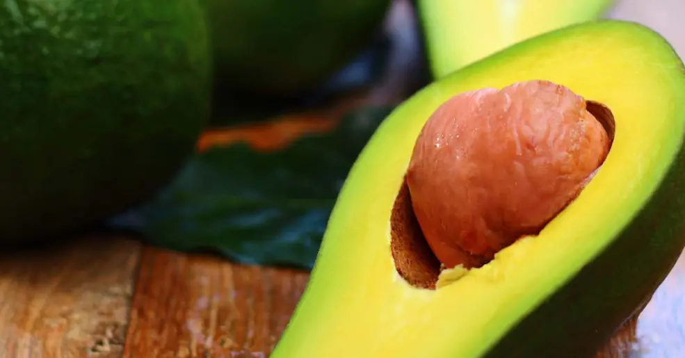 Abacate vs. Avocado: Entenda as Diferenças e Escolha o Melhor