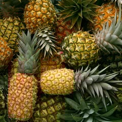 Diferenças entre Variedades de Abacaxi