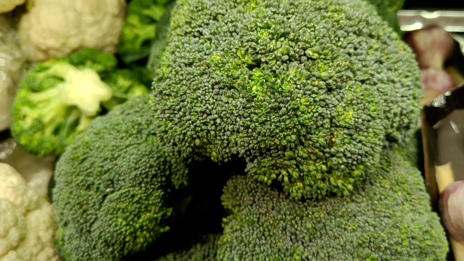 como escolher brócolis fresco