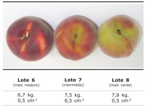 Guia Completo: Pêssegos Brancos vs. Amarelos