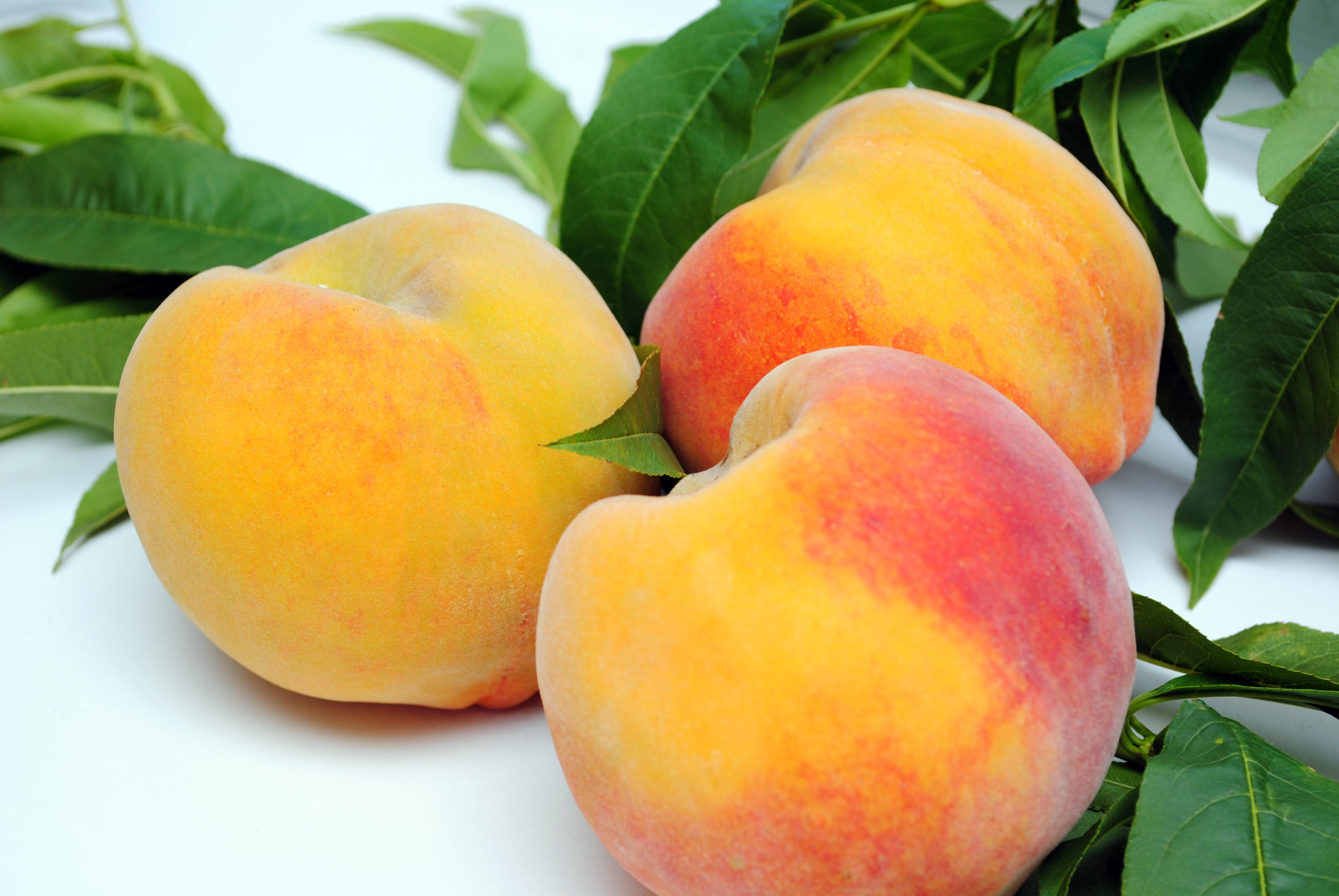 Como Conservar Pêssegos Frescos por Mais Tempo