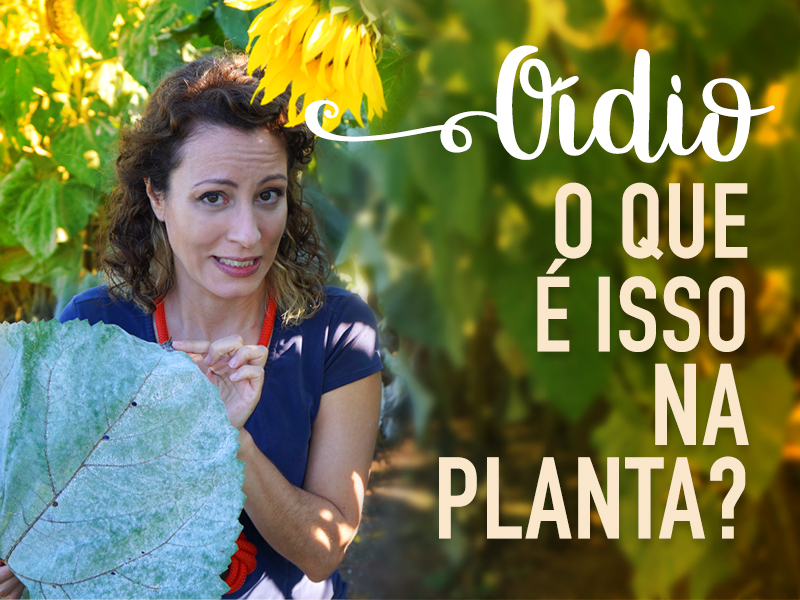 Guia Completo de Fungicidas Naturais para sua Horta