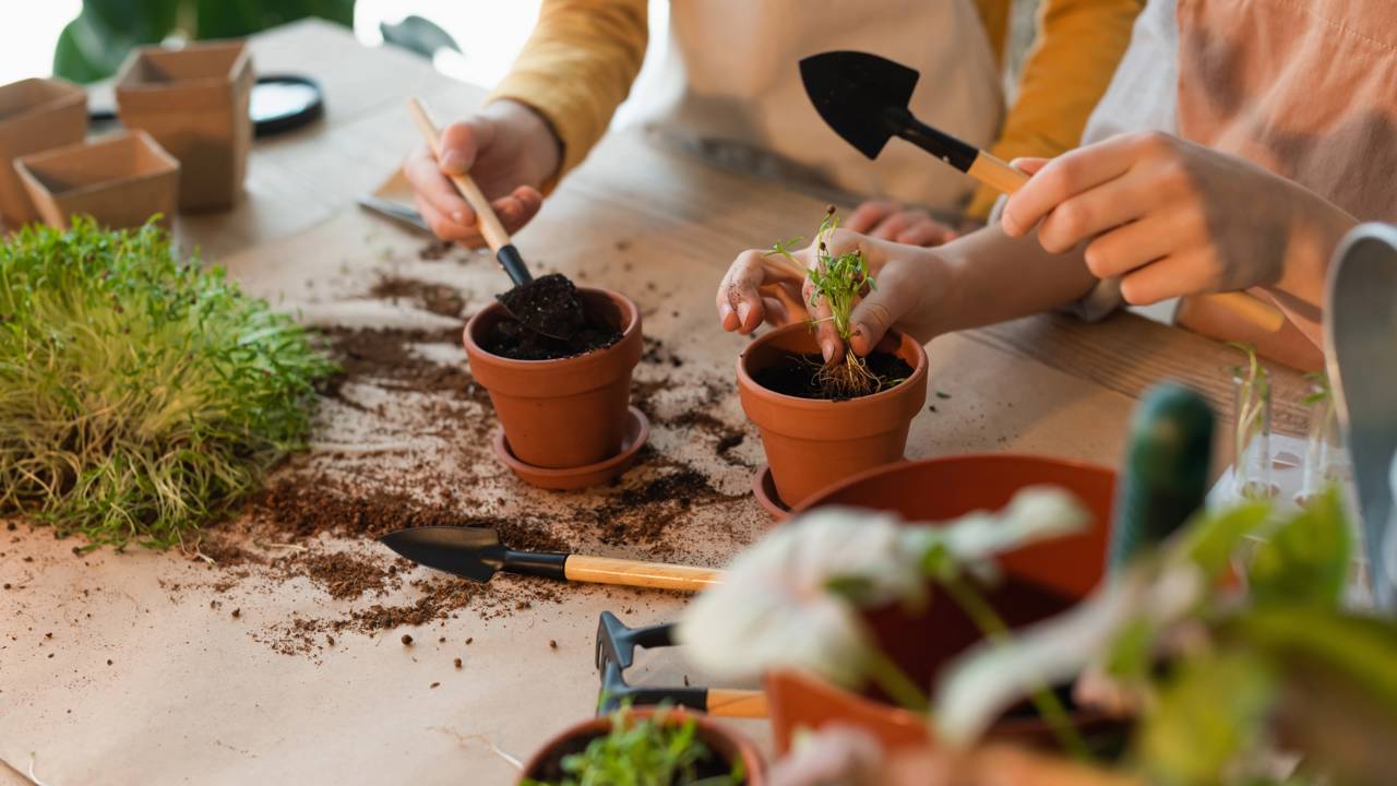 Guia Completo de Substratos Caseiros para Hortas Verticais