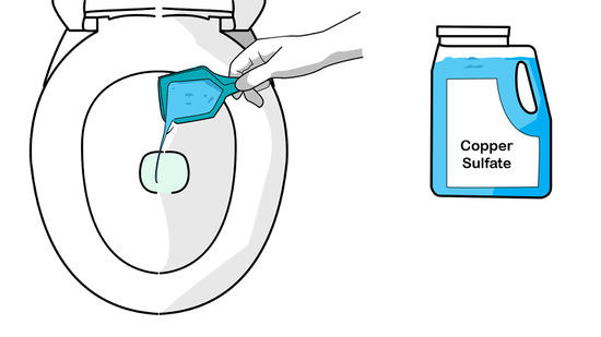 Como Solucionar o Problema de Raízes Enoveladas em Plantas Adultas