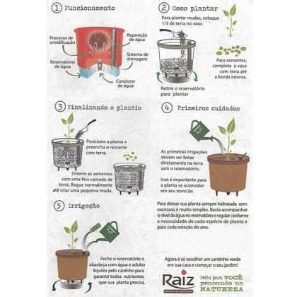 Quando e Como Fazer a Poda de Raízes em Plantas de Vaso