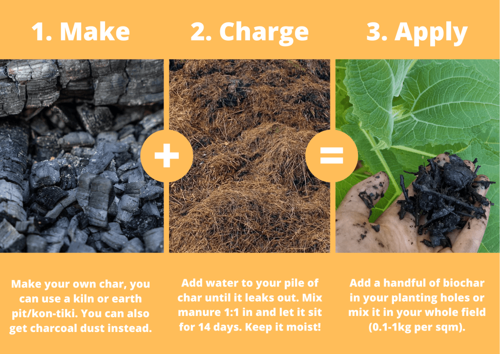Guia Completo: Como Ativar o Biochar Corretamente