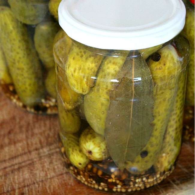 Dicas para Desidratar Pepinos Rapidamente