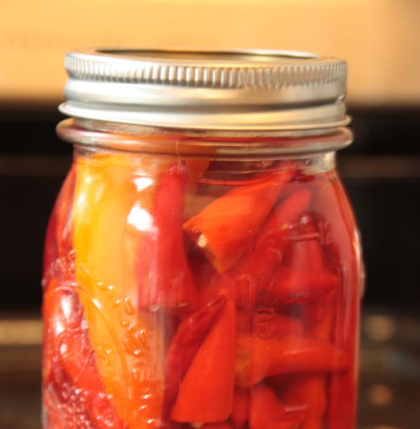 como fazer conservas de pimenta