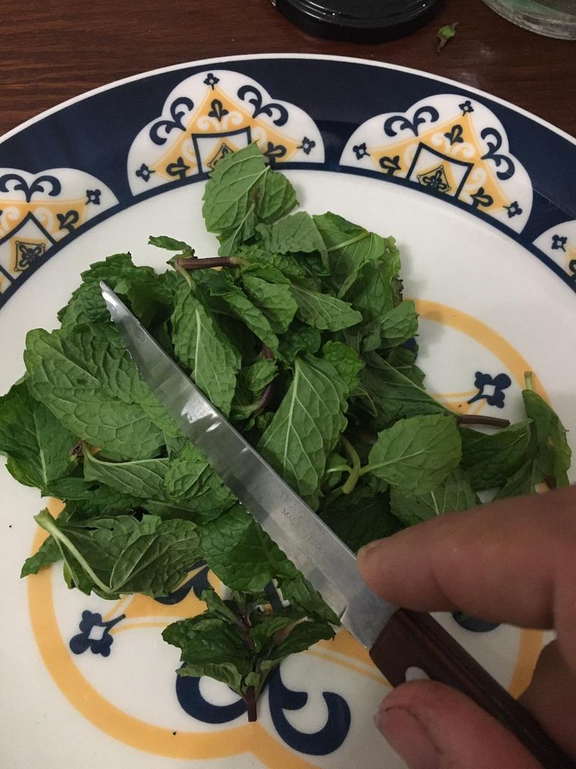 como fazer extrato de menta