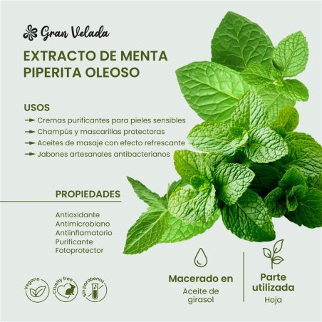 Guia Completo: Extrato de Hortelã para Culinária