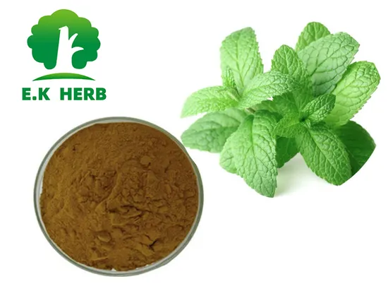 Dicas de Conservação e Validade do seu Extrato de Menta