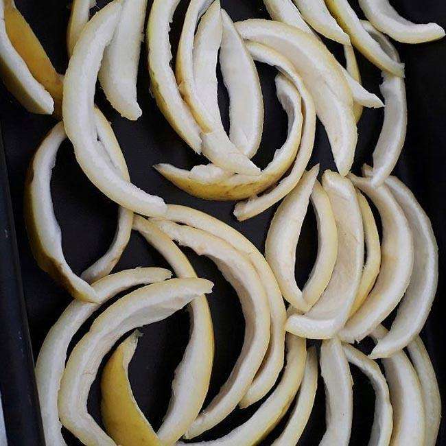 Diferentes Métodos de Desidratação da Casca de Maracujá para Fazer Farinha