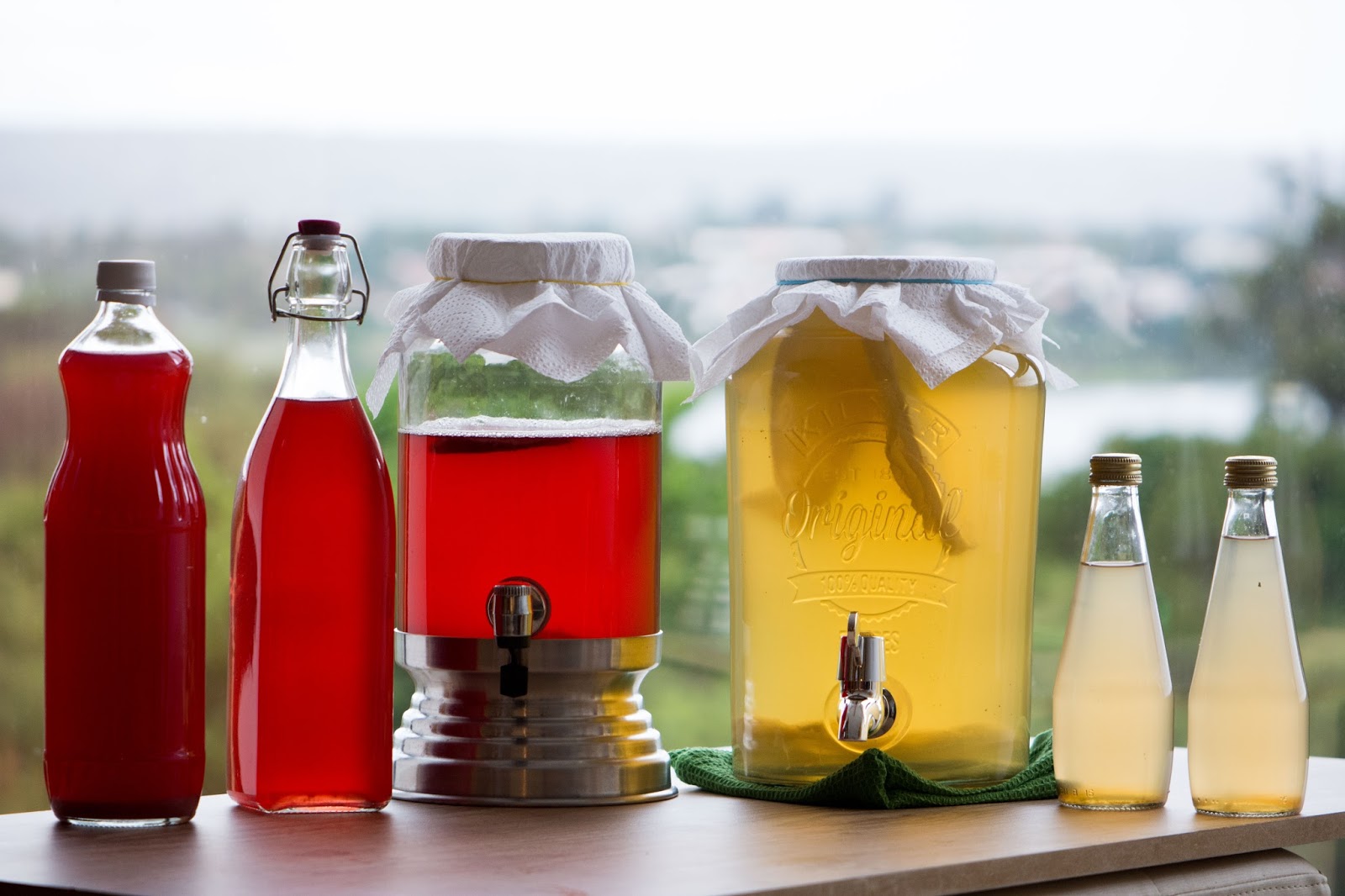 Os benefícios da kombucha para a saúde intestinal