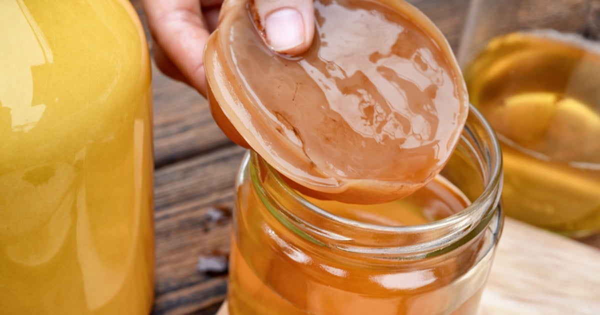 Erros comuns ao fazer kombucha em casa e como evitá-los