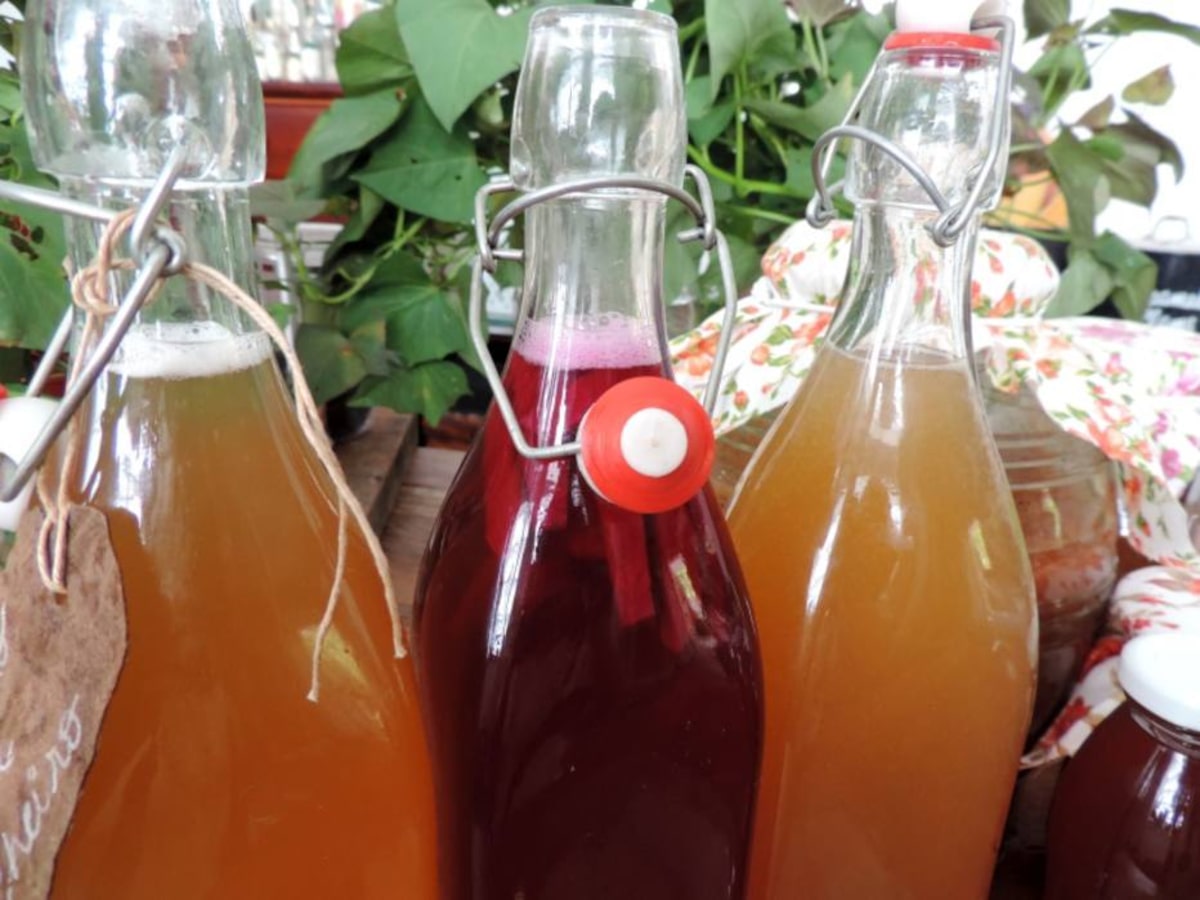 como fazer kombucha em casa