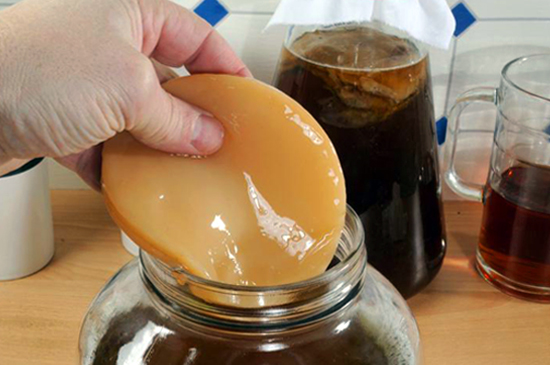 Como cuidar do seu SCOBY: Guia completo