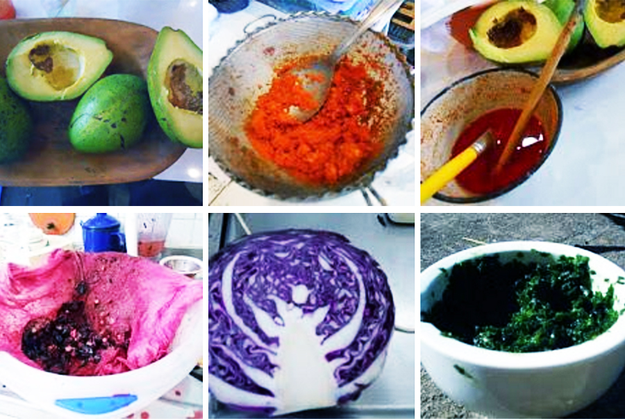 como fazer tintas naturais com plantas