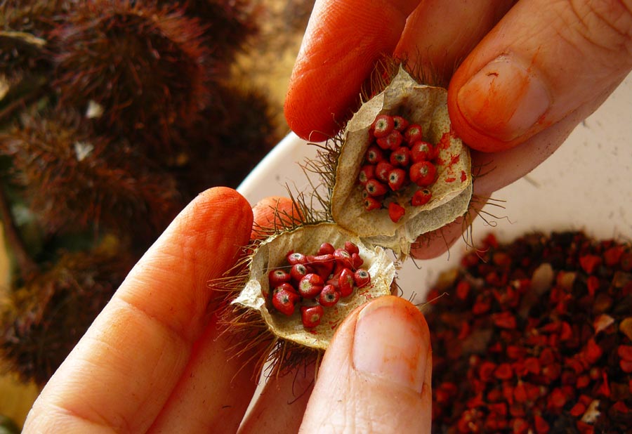 como fazer tintas naturais com plantas