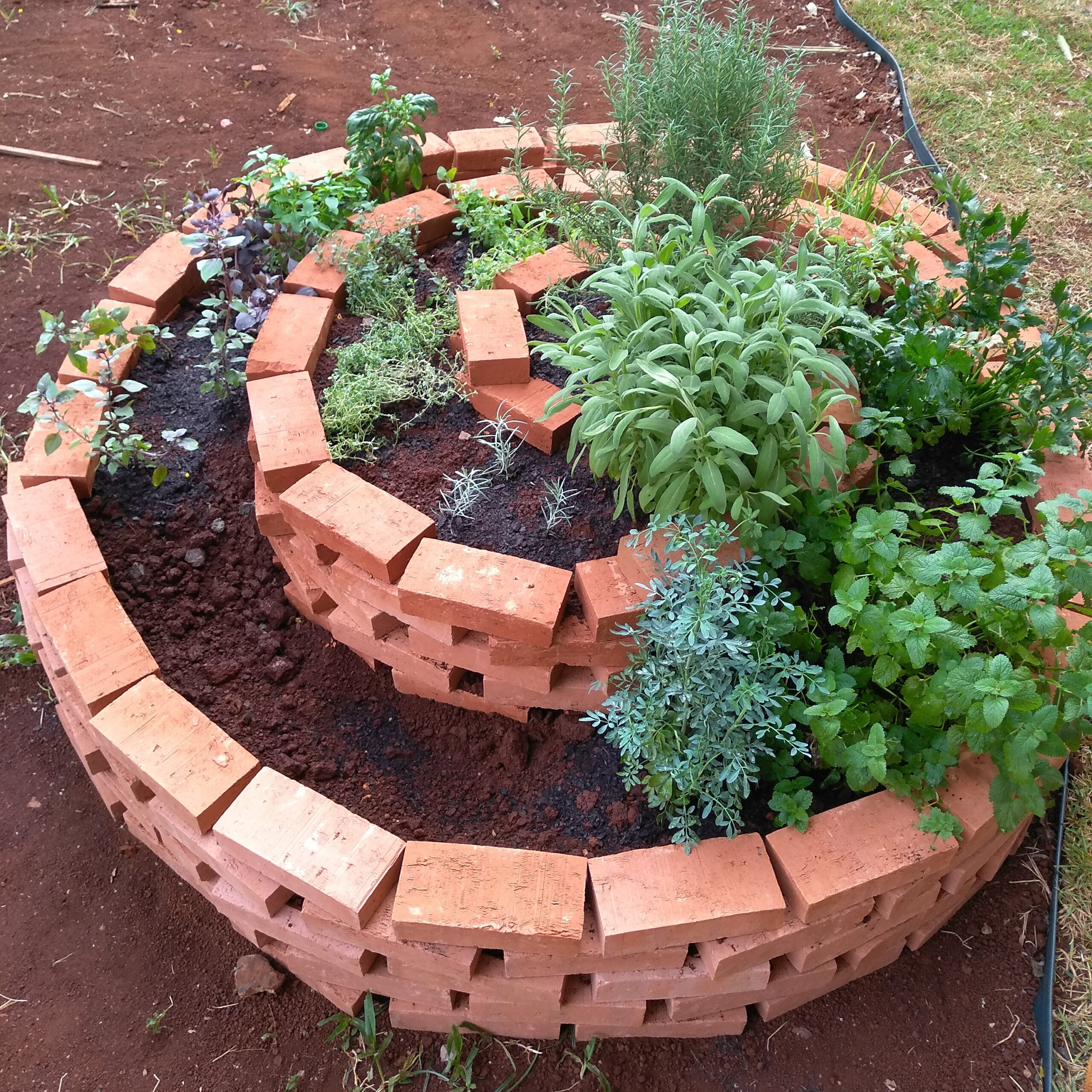 como fazer um espiral de ervas