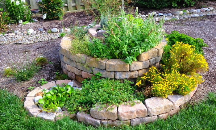 Guia Completo de Ervas para Cada Zona da Sua Espiral