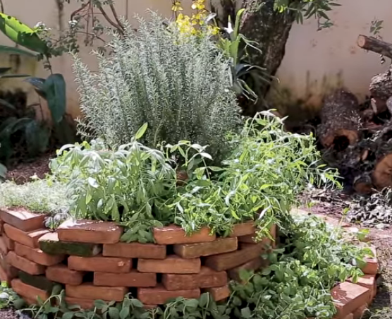 Como Manter Sua Espiral de Ervas Saudável: Dicas de Rega e Adubação