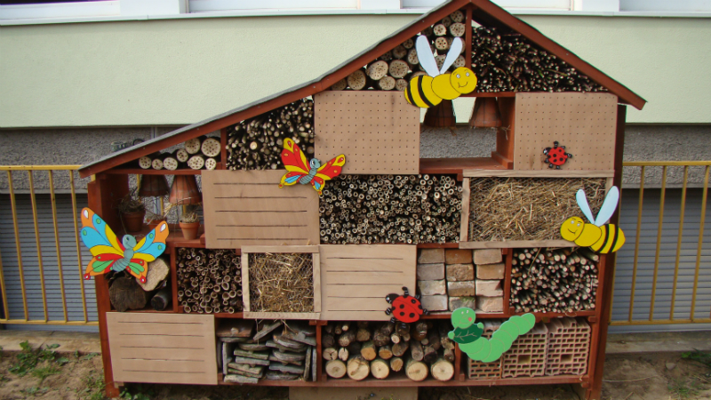 como fazer um hotel para joaninhas