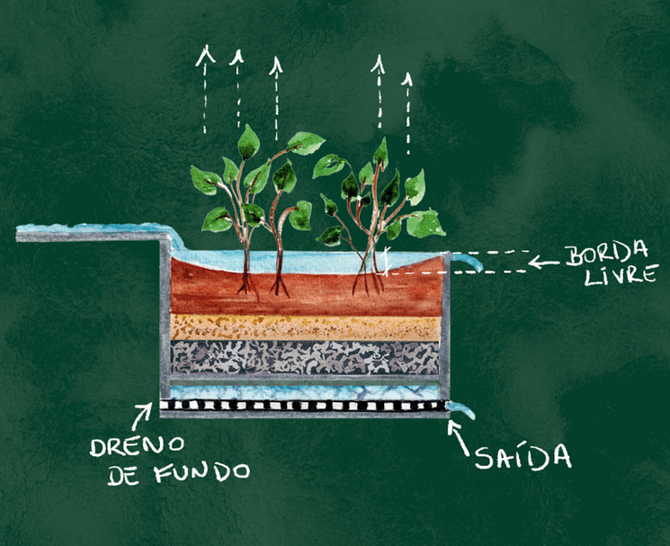 Soluções de infraestrutura verde: Jardins de chuva vs. Telhados verdes