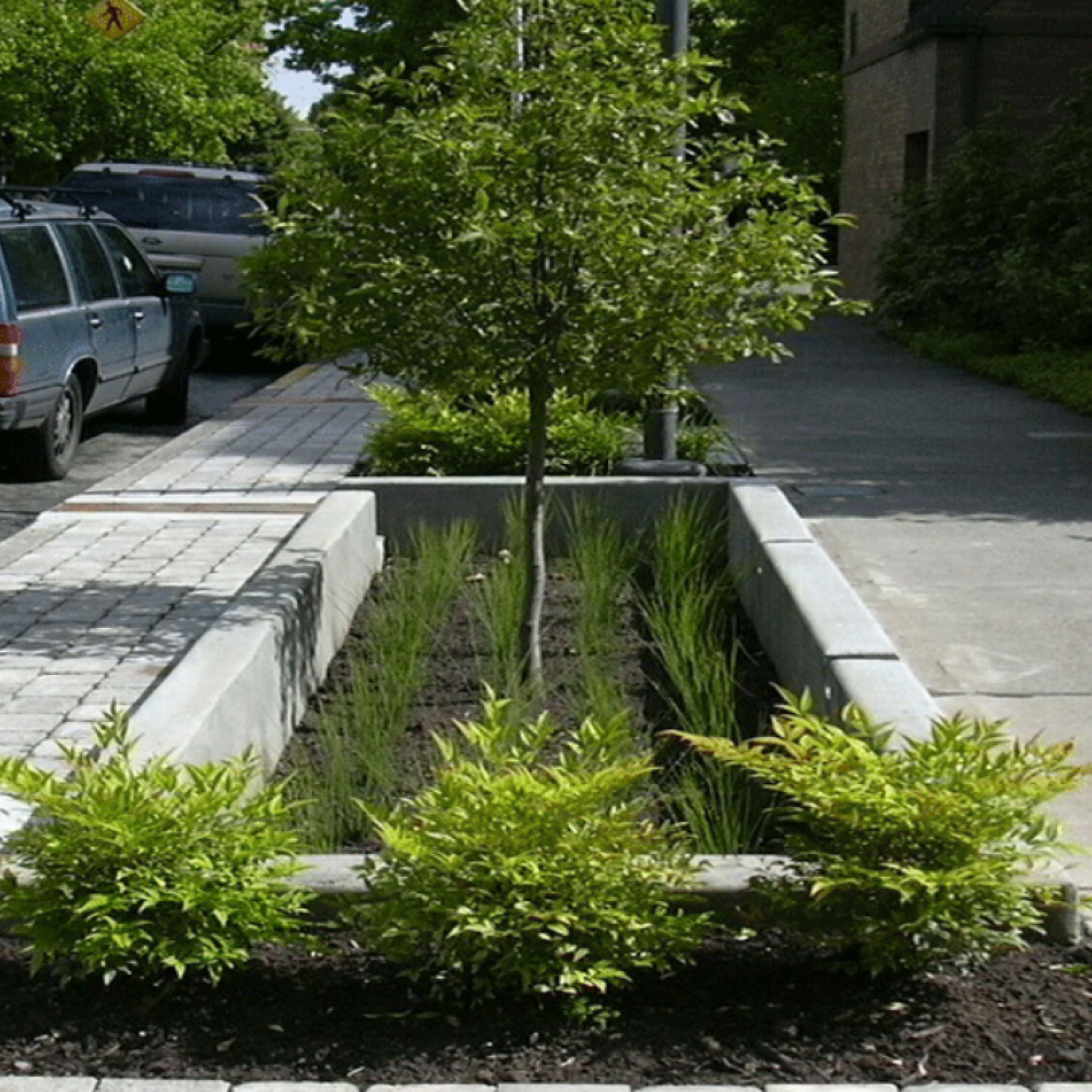 como fazer um jardim de chuva