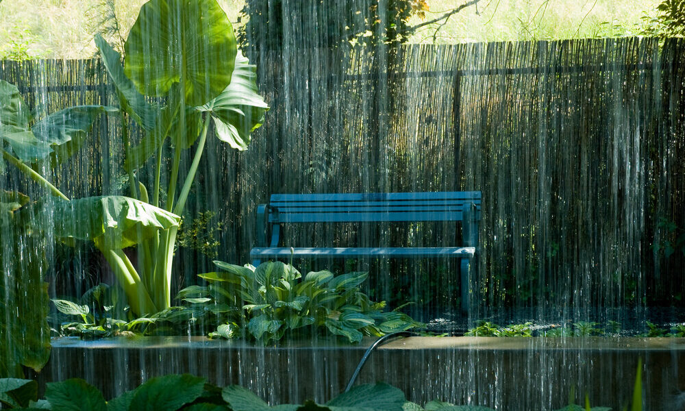 Guia completo de como testar a infiltração do solo para seu jardim de chuva
