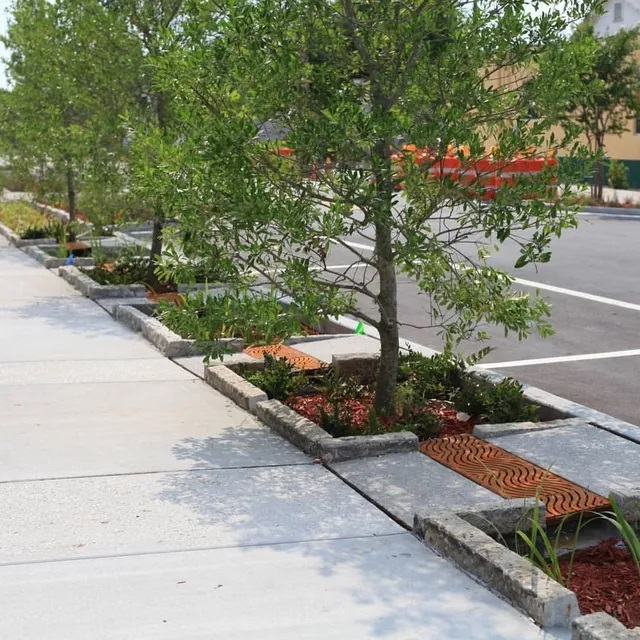 Entenda os benefícios fiscais de construir um jardim de chuva na sua cidade