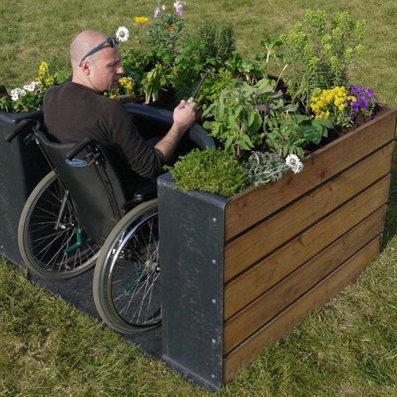 A importância da visão em um jardim sensorial: cores e formas