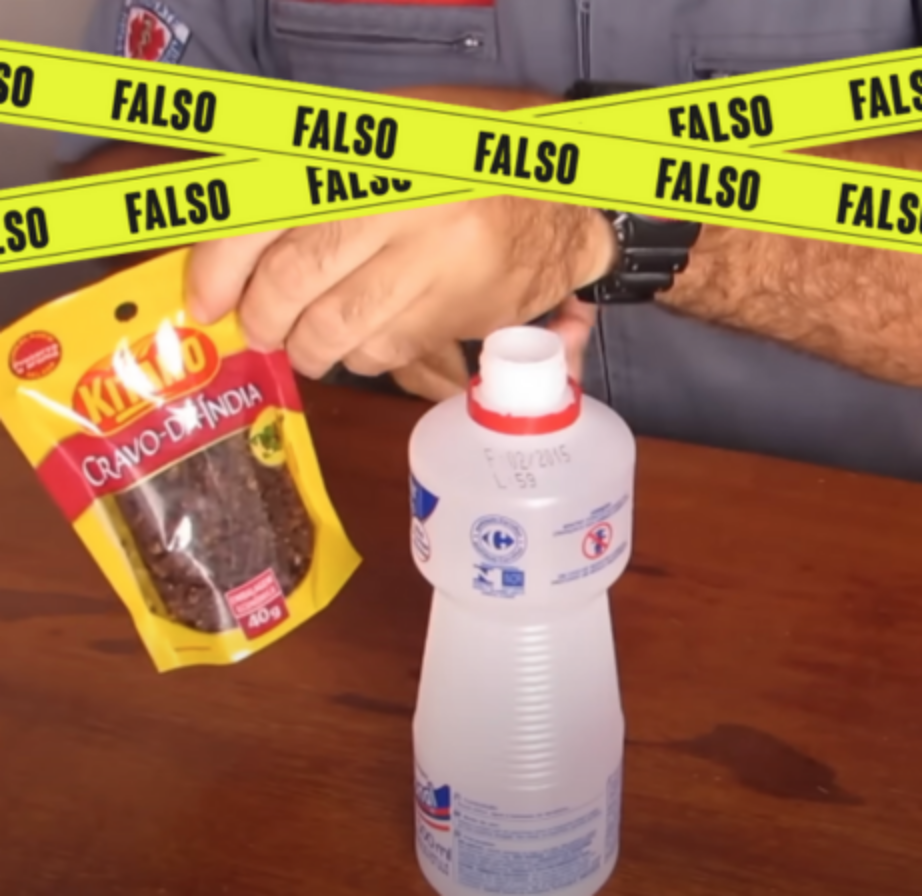 Como usar cravo-da-índia para afastar insetos em casa