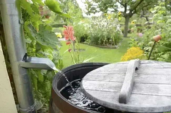 Dicas para manter a água da chuva limpa na cisterna