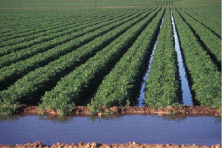 Manutenção de sistemas de irrigação enterrados