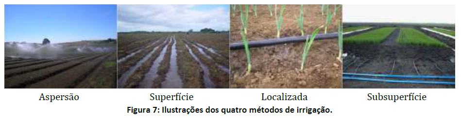 Benefícios do gotejamento subterrâneo para hortaliças