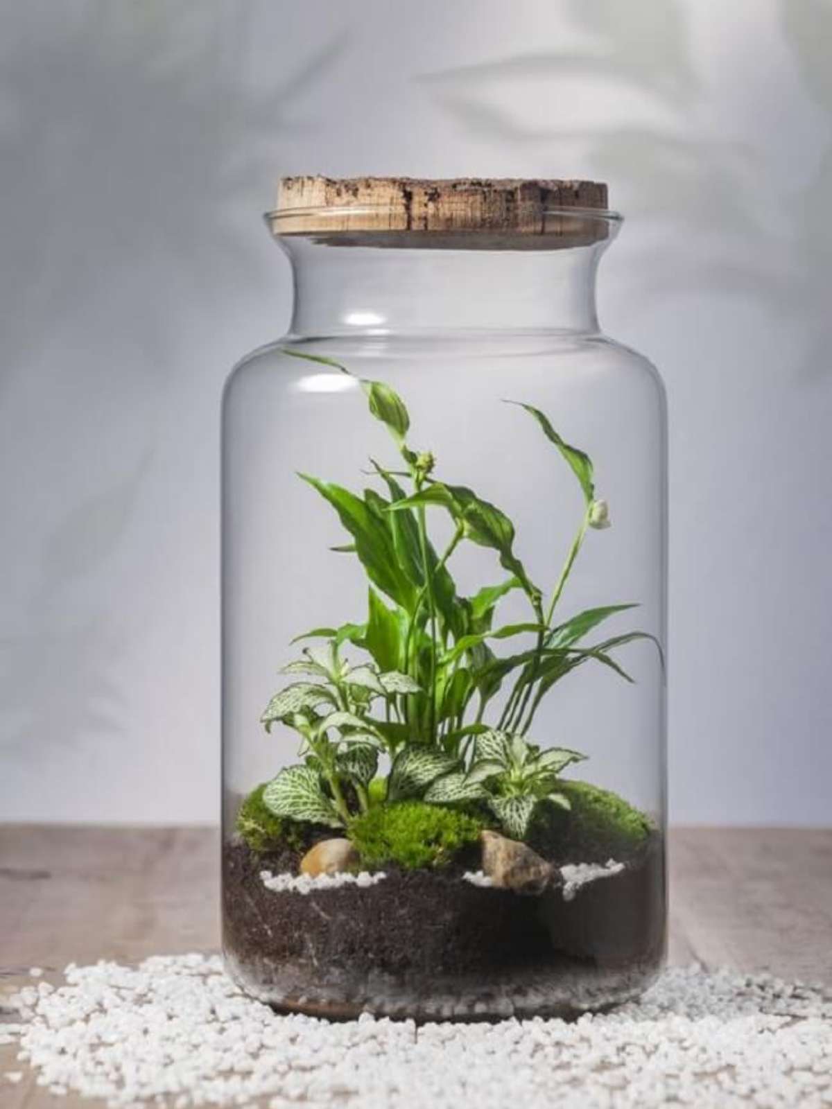 Excesso de Água e Mais