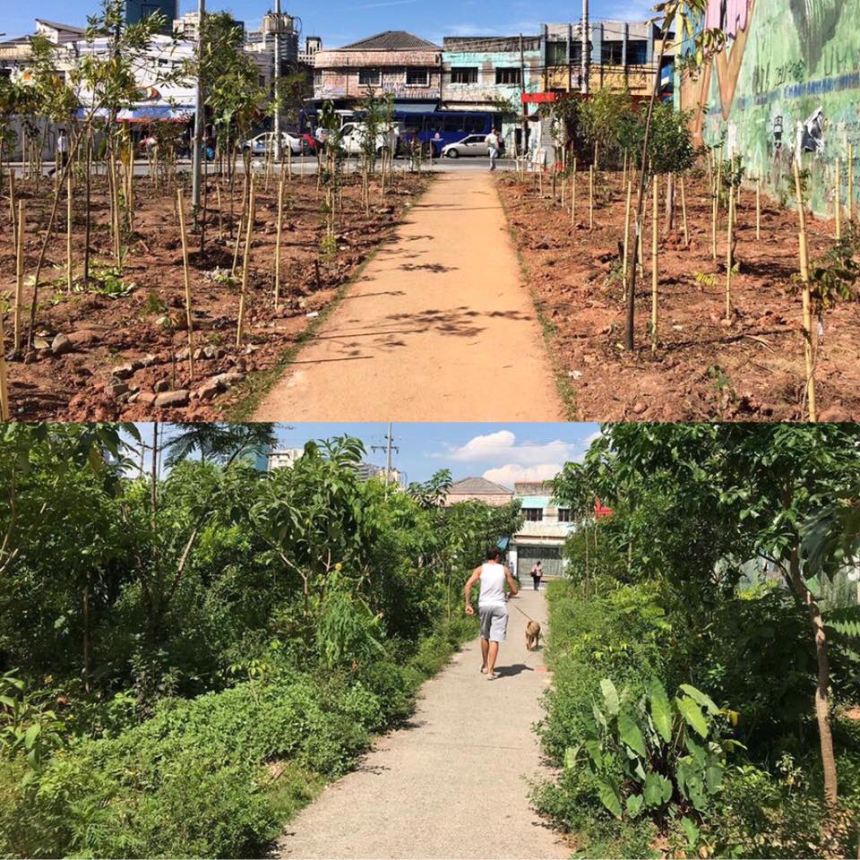 como fazer uma floresta de bolso
