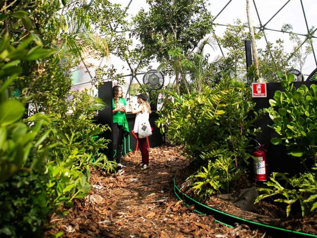 Manutenção Essencial da Floresta de Bolso nos Primeiros Meses