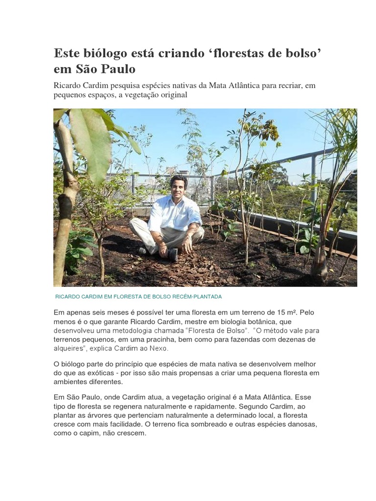 Transformando Espaços Urbanos: Exemplos Inspiradores de Florestas de Bolso