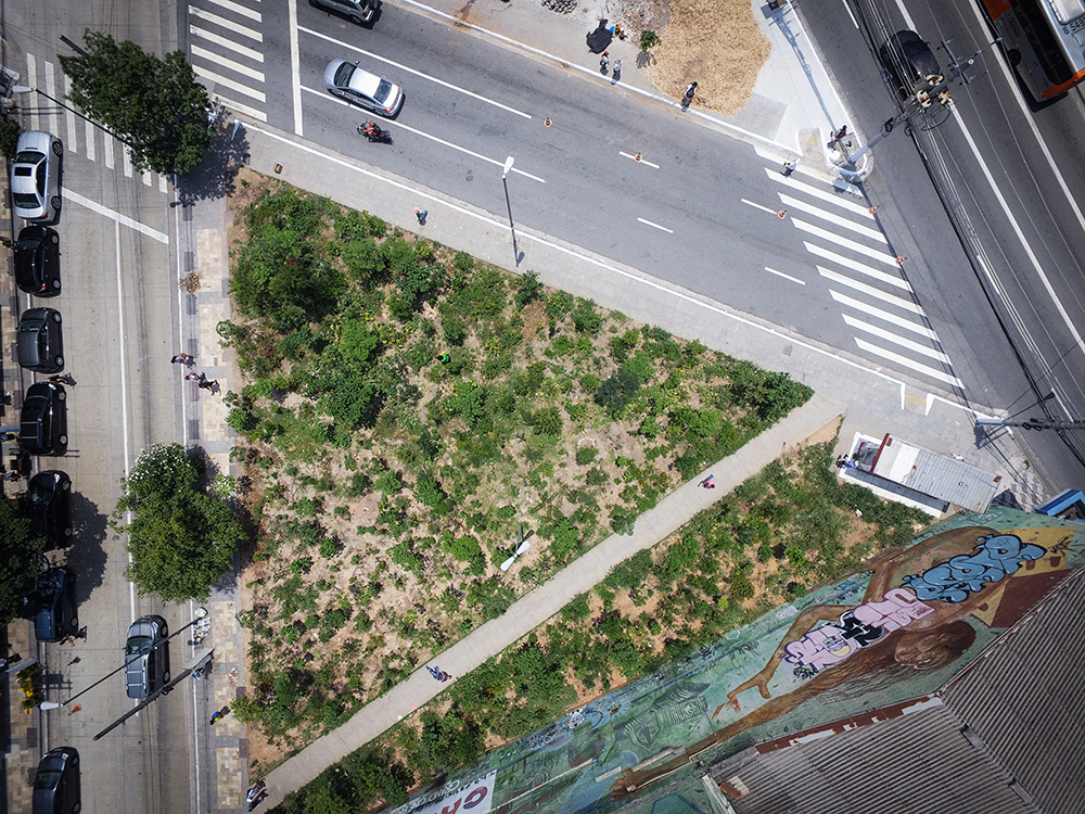 Como a Floresta de Bolso Combate o Efeito Ilha de Calor