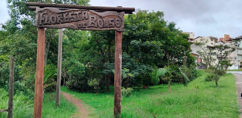 Manutenção Essencial da Floresta de Bolso nos Primeiros Meses