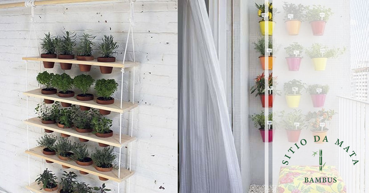 Dicas de poda para estimular o crescimento das ervas